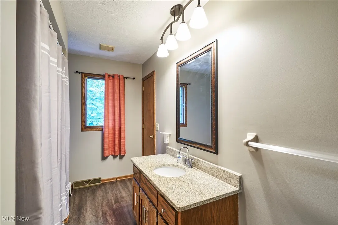 Full bath with vanity,vinyl plank  floors
