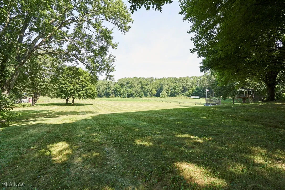 back yard