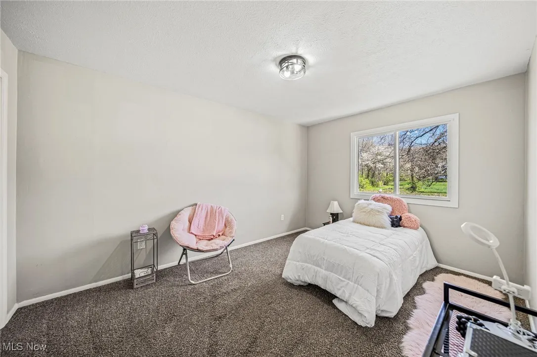 6084 Clay Street, Thompson, Ohio 44086,MLS Now Listing ID