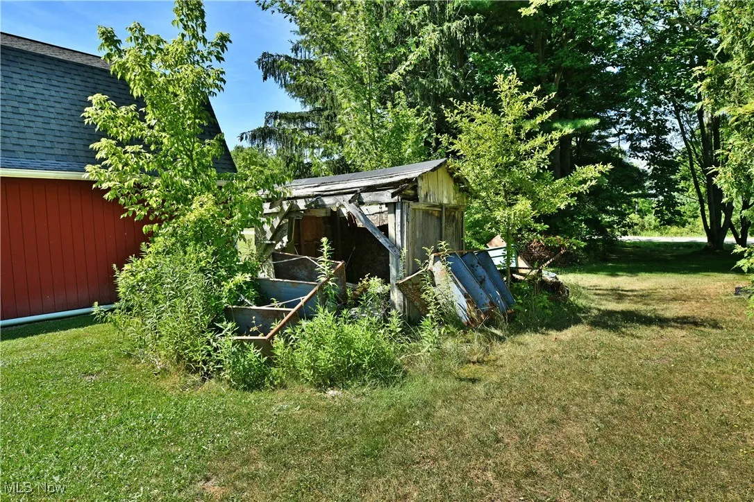 View of green lawn with a storage shed
