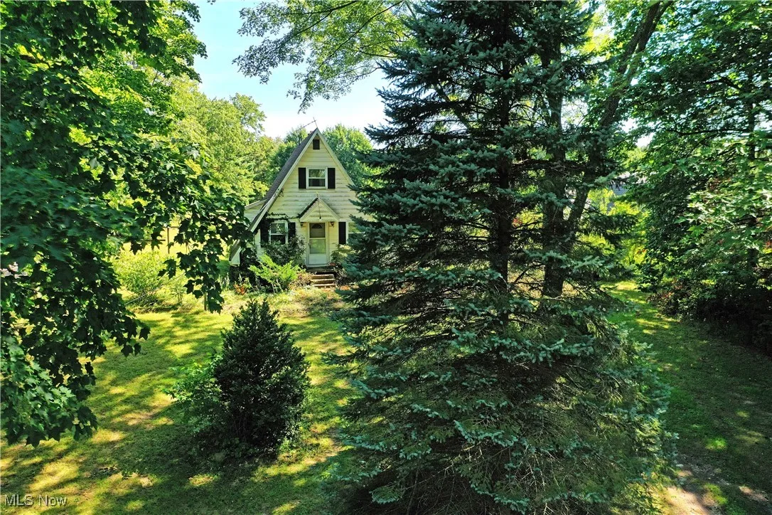 View of grassy yard