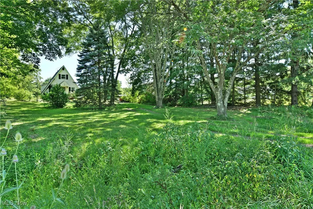 View of grassy yard