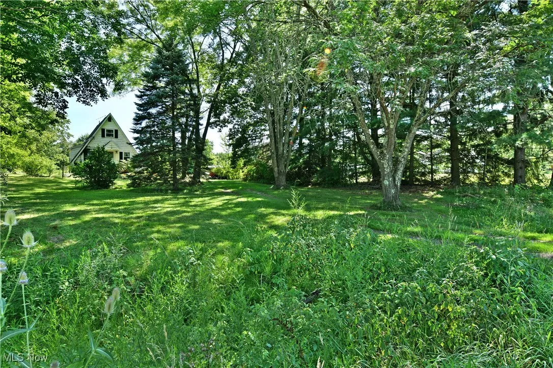 View of green lawn