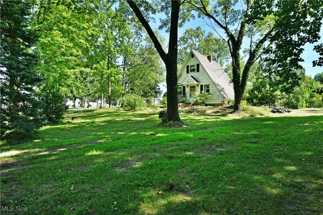 View of grassy yard