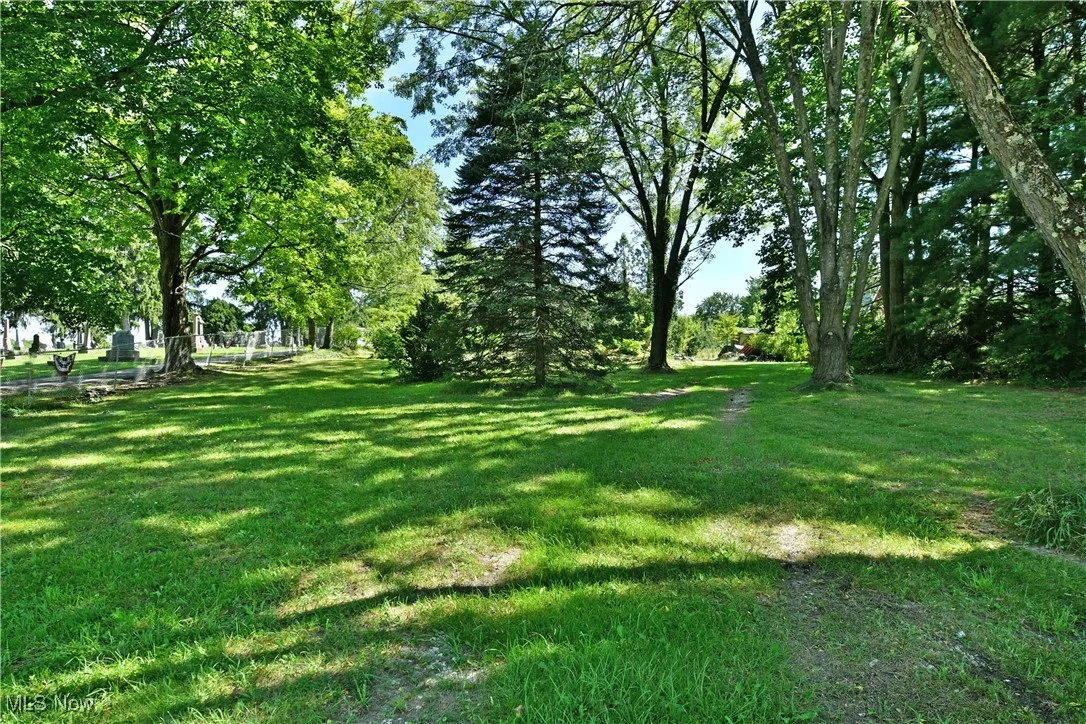 View of grassy yard