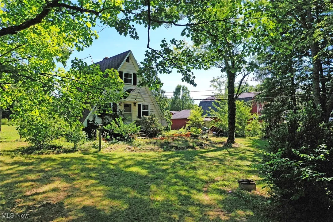 View of green lawn