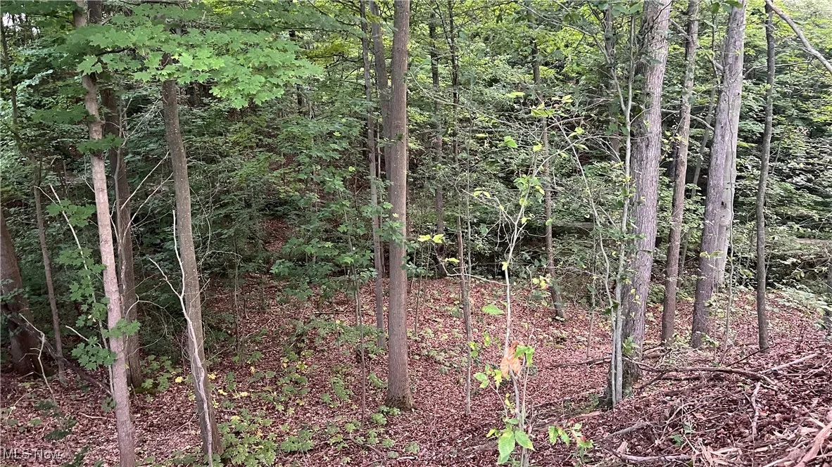 470 N Chillicothe Road, Aurora, Ohio,MLS Now Listing ID