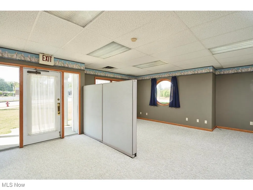 Basement with light carpet and a drop ceiling