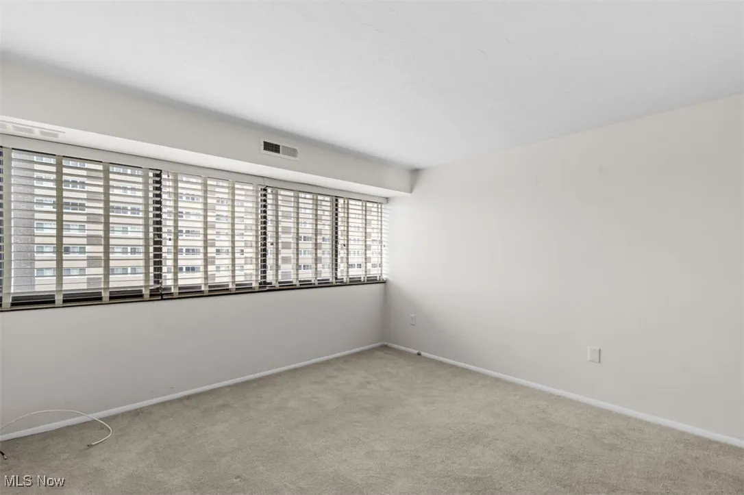 Unfurnished room with carpet floors and baseboards