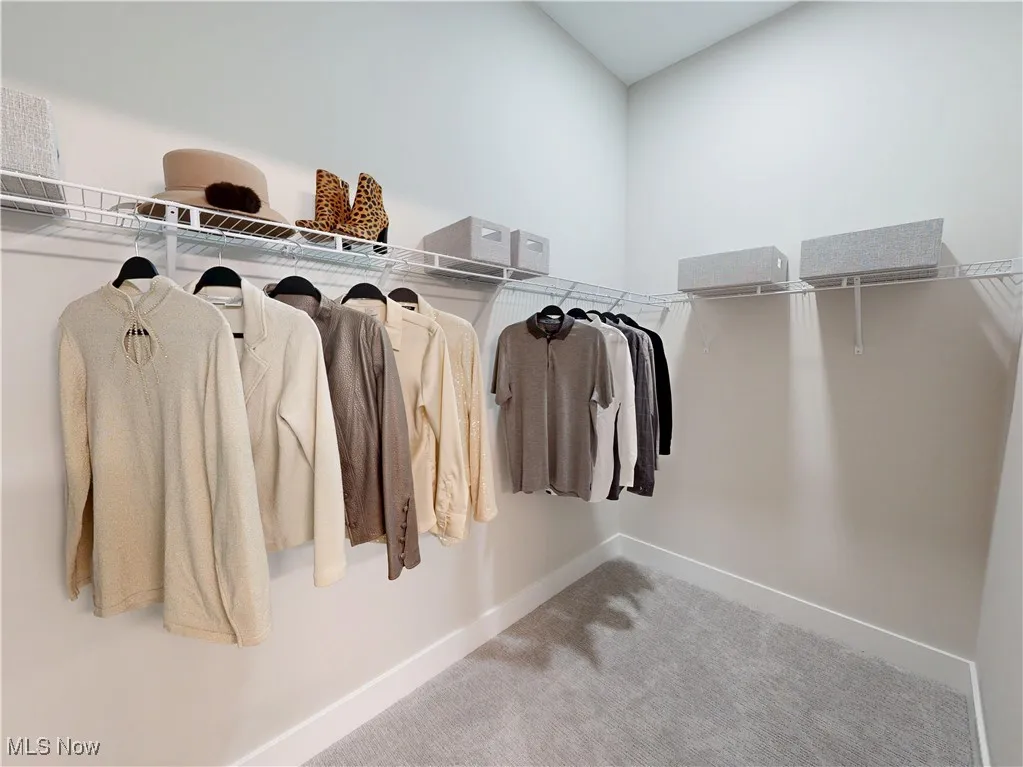 Walk in Closet