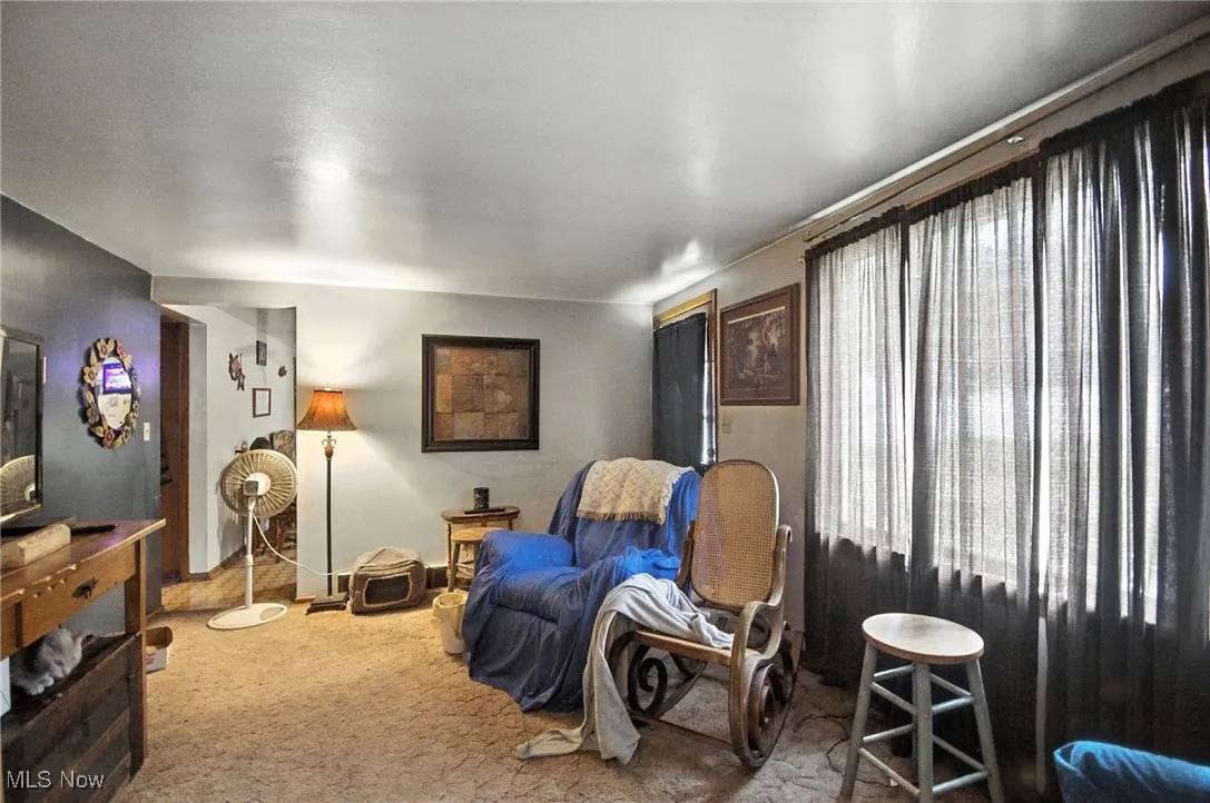 Living area with carpet floors