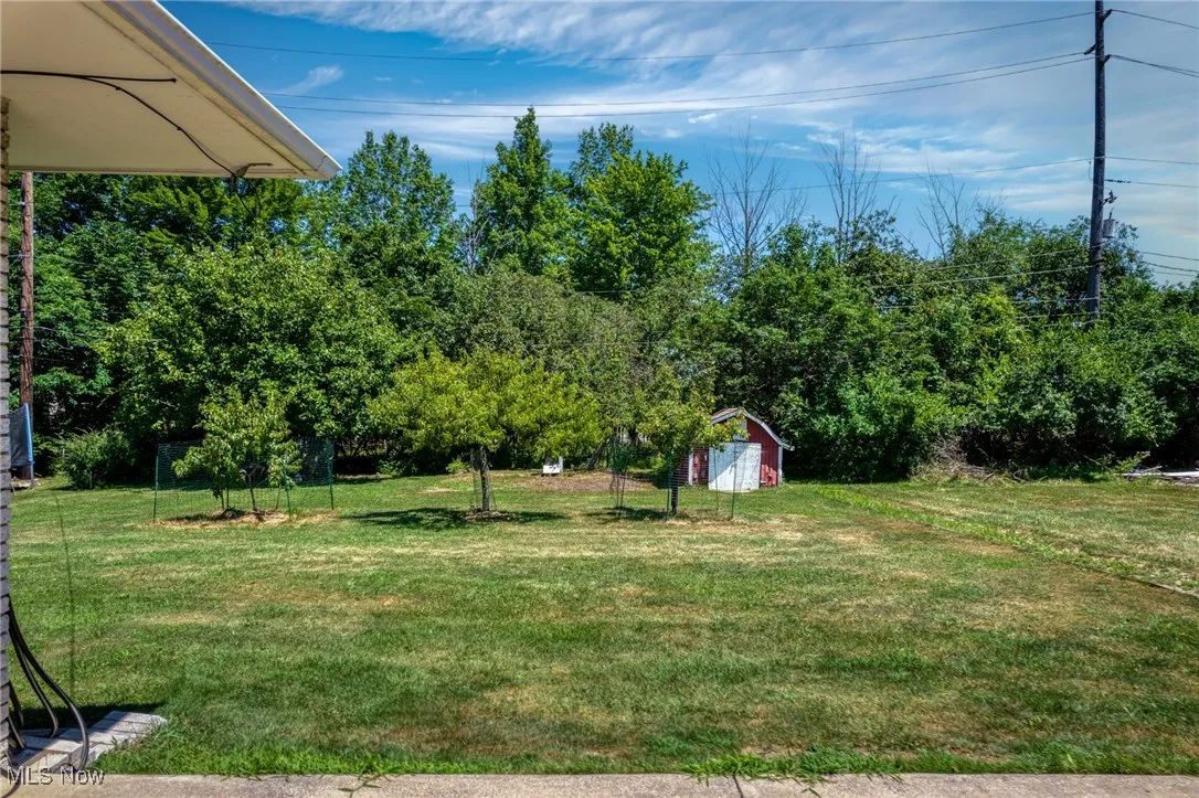 View of green lawn featuring a storage shed