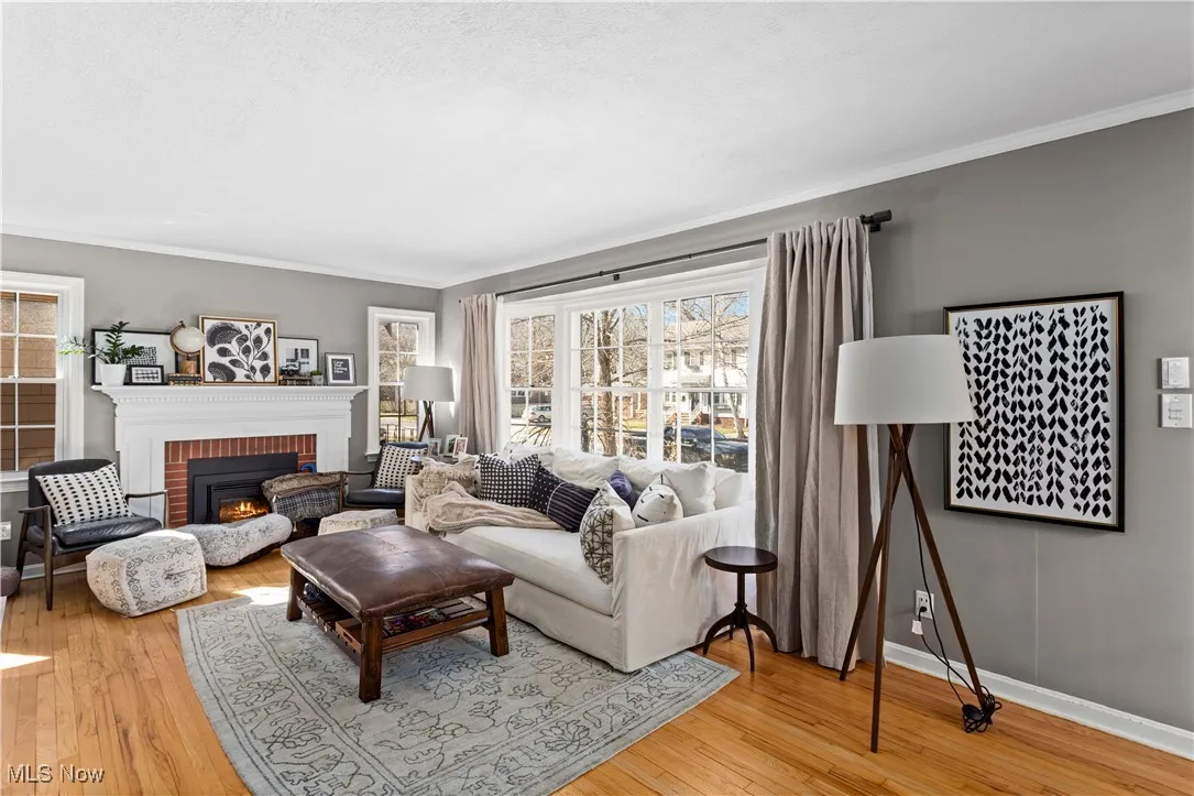 Living area featuring wood-type flooring, ornamental molding, and a fireplace