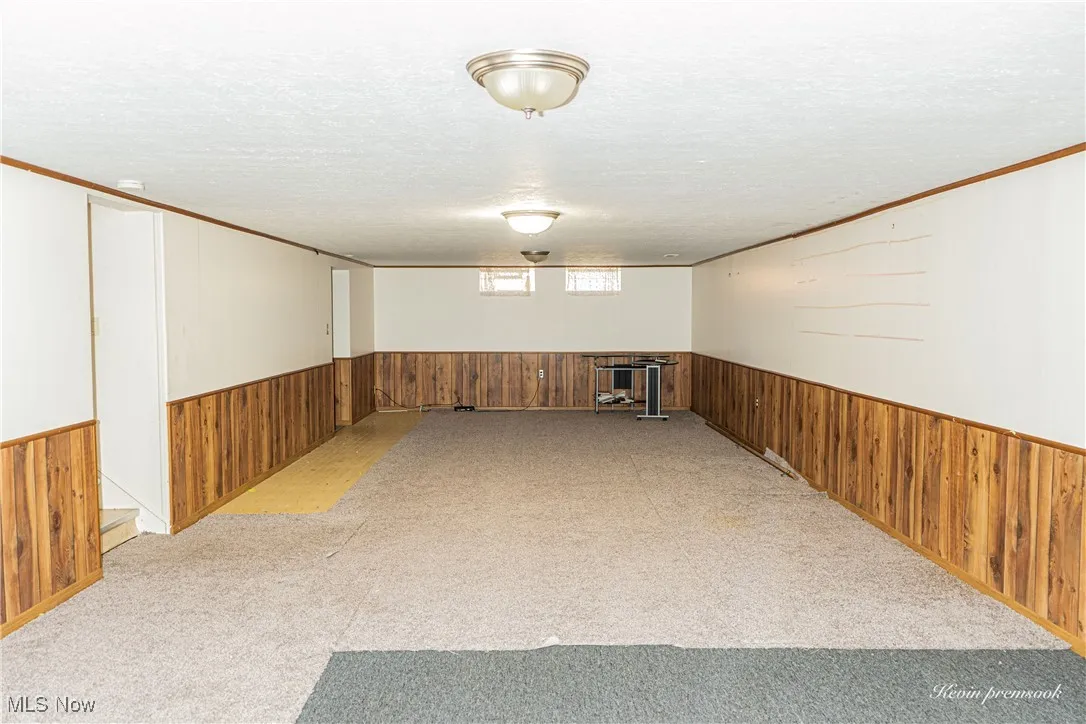 Basement featuring wooden walls, wainscoting, crown molding, a textured ceiling, and carpet floors