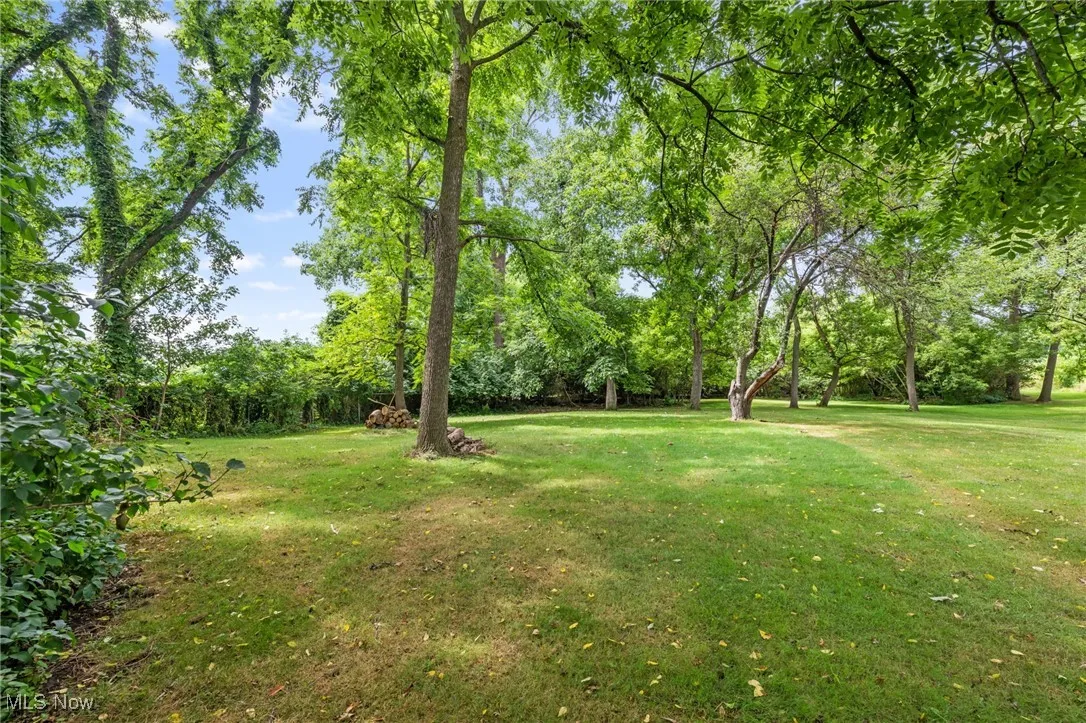 View of green lawn