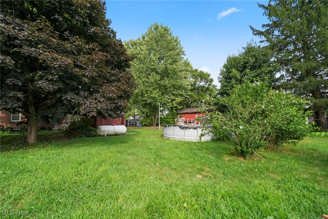 View of grassy yard