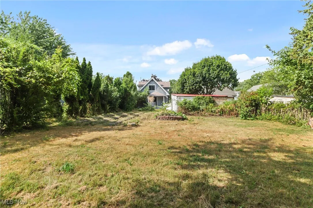 View of grassy yard