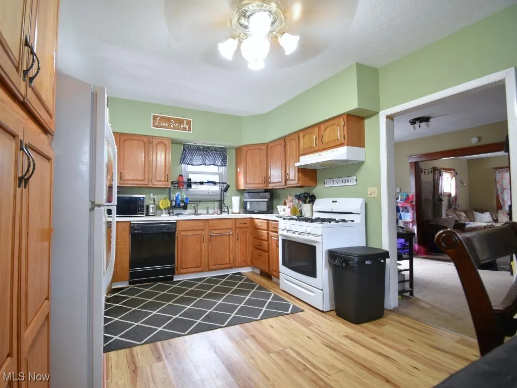 434 6th Street, Fairport Harbor, Ohio 44077,MLS Now Listing ID