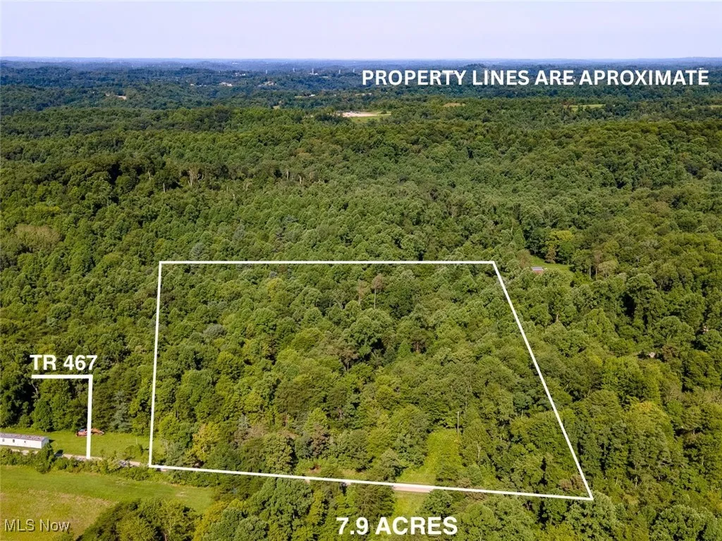View of property location with property parcel outlined and a heavily wooded area