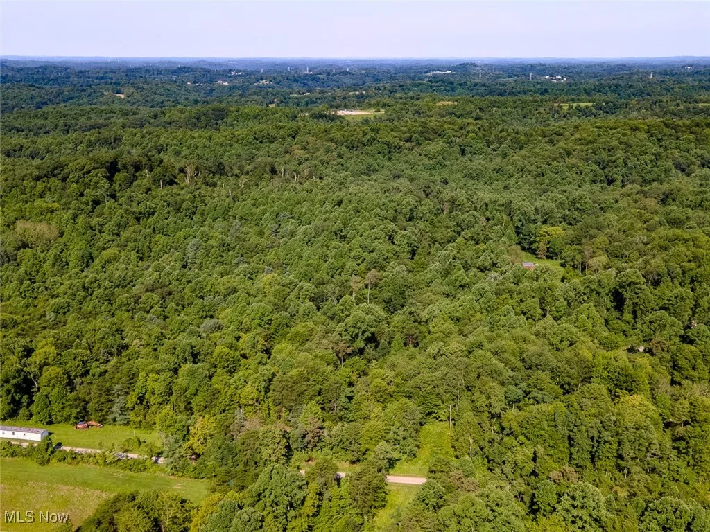 Bird's eye view of a heavily wooded area