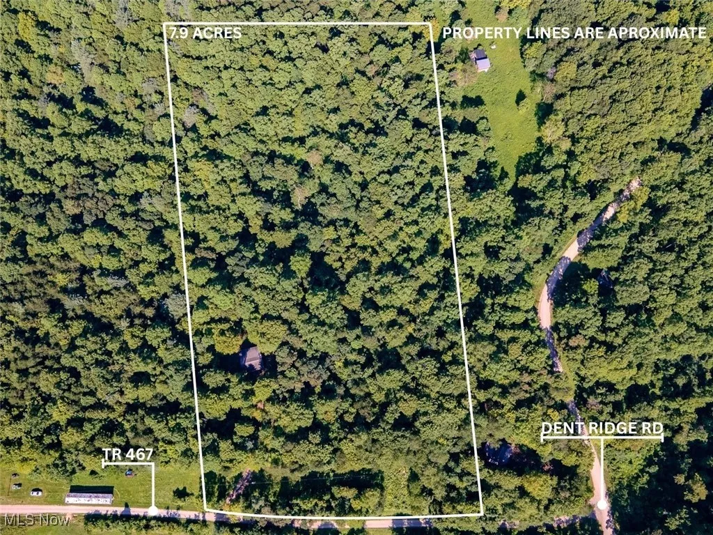Map / location with property boundaries highlighted