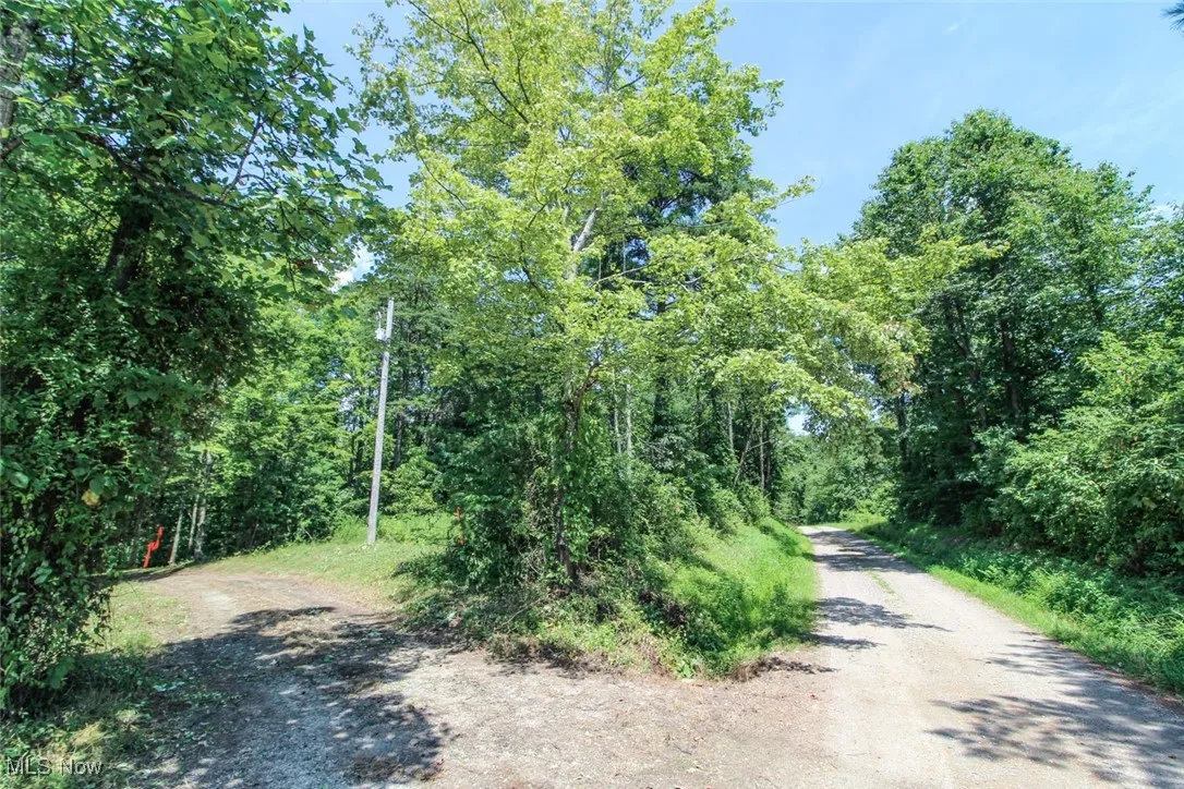 View of dirt / gravel road featuring a forest view