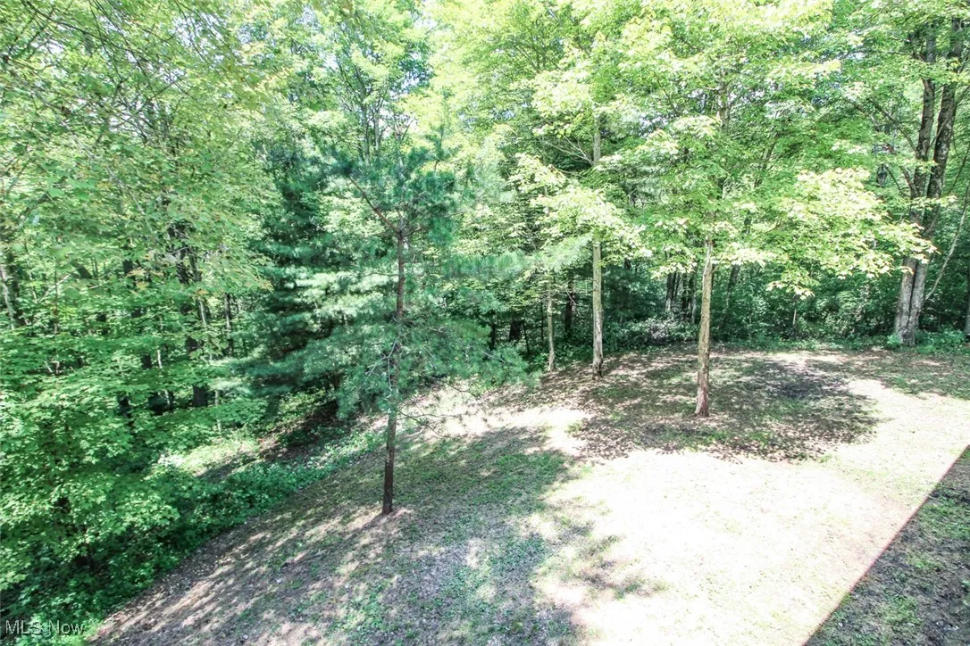 View of yard featuring a view of trees