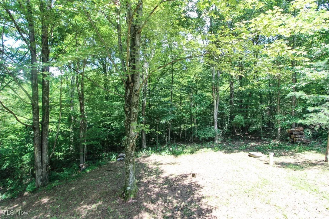 View of woods