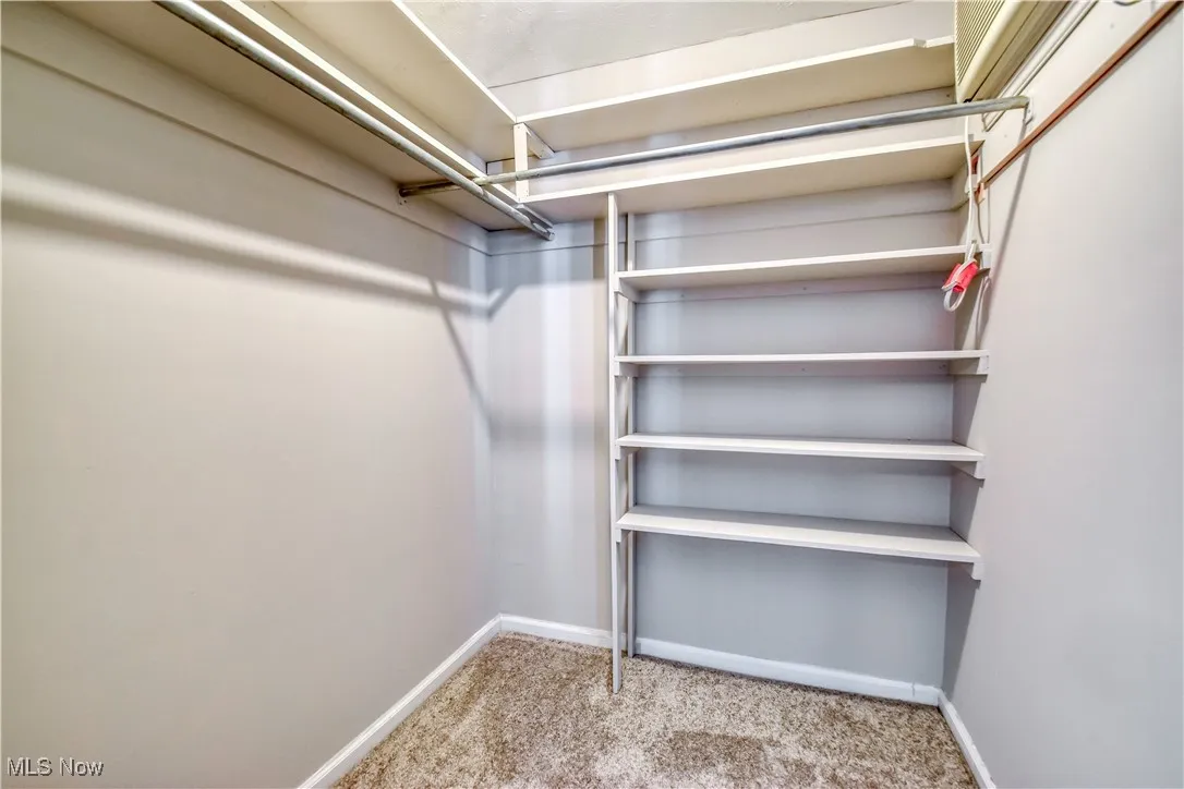 Spacious closet featuring carpet floors