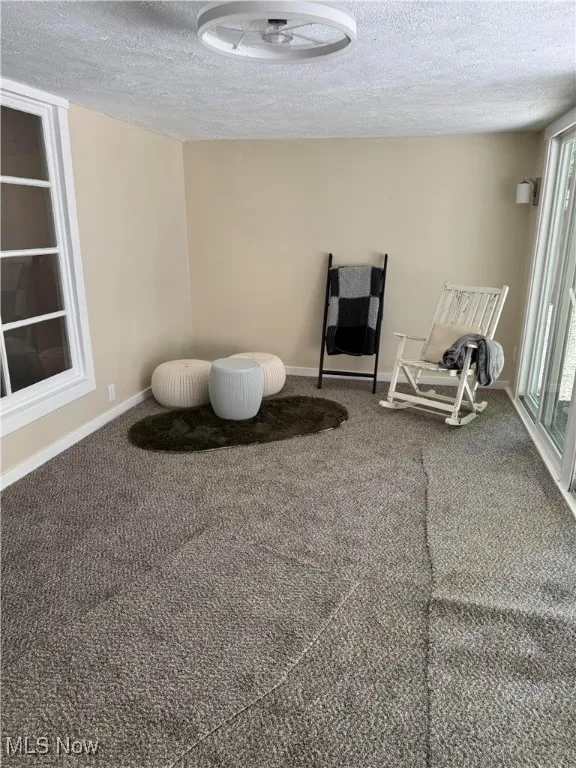 4 Season Rm Freshly installed carpet stunning views with tons of natural lighting