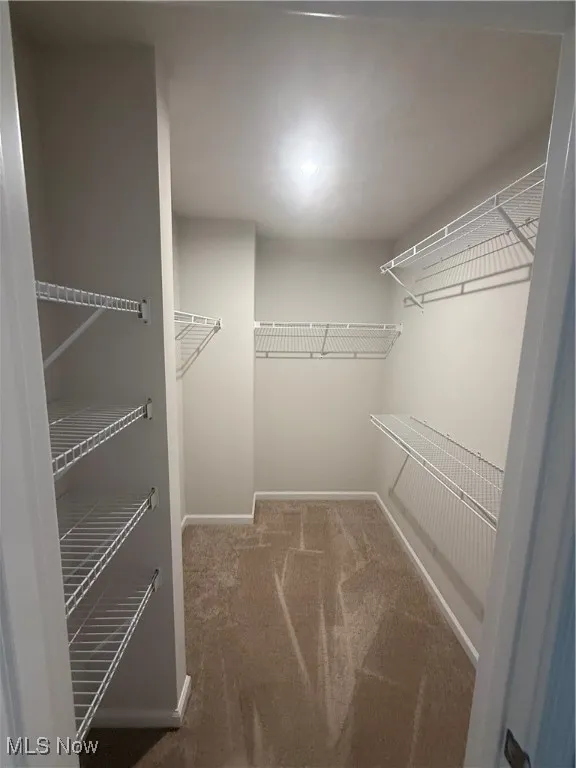 Huge Walk-in Closet