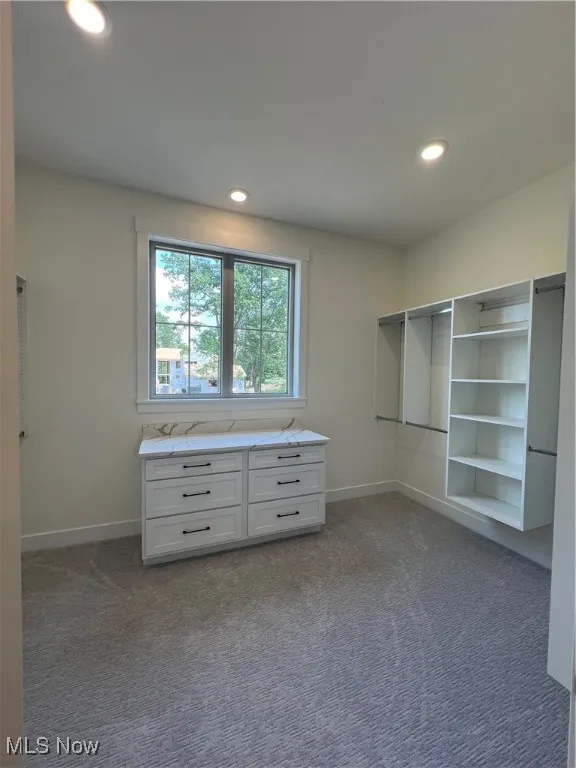 Spacious closet featuring light colored carpet