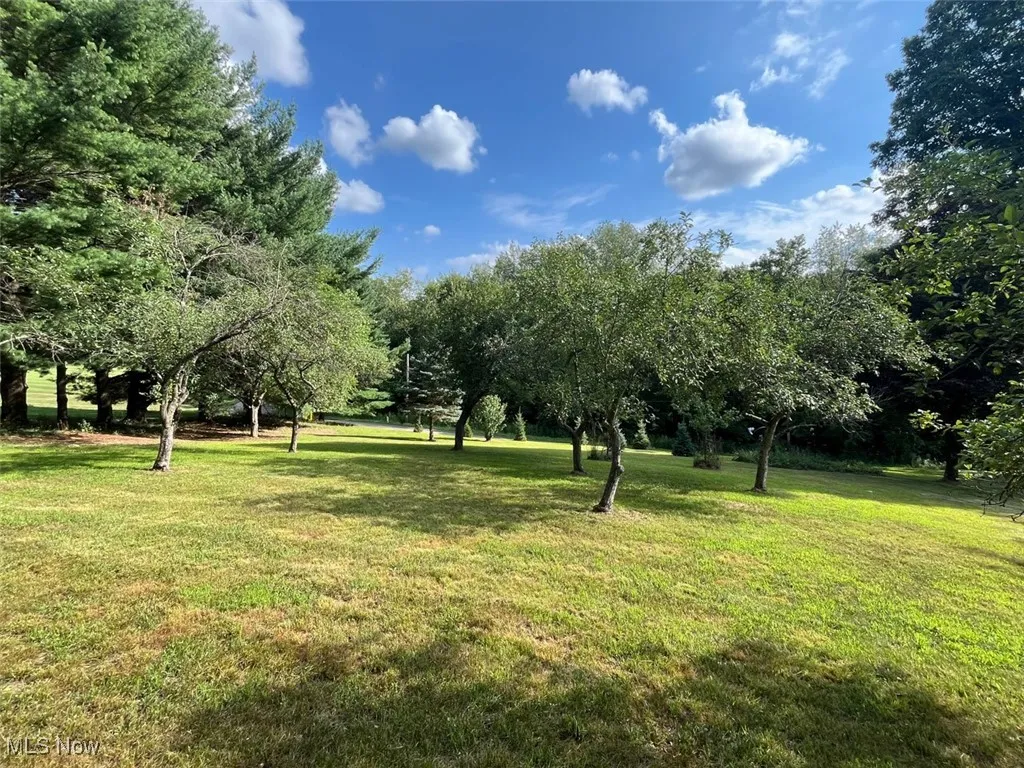 View of grassy yard featuring view of scattered trees