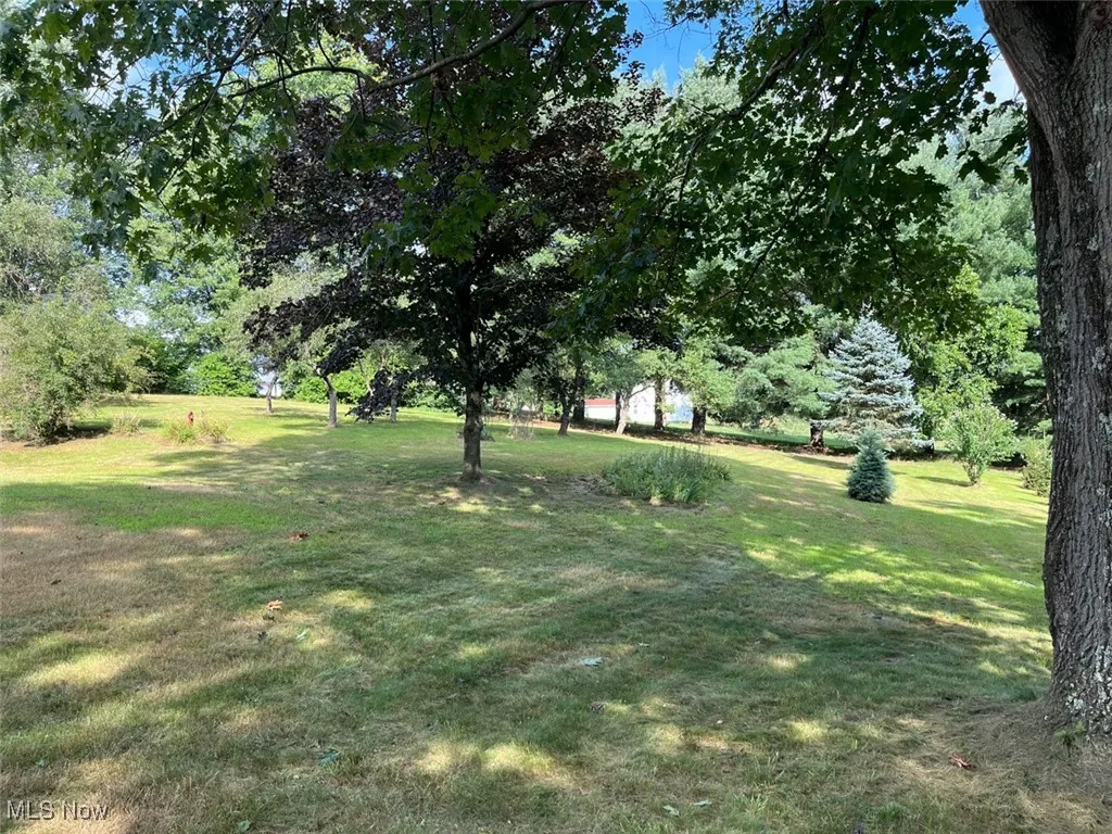 View of green lawn