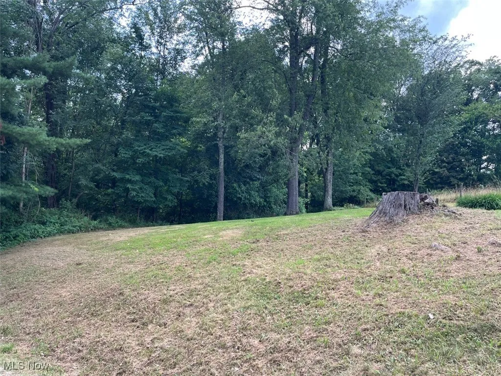 View of grassy yard featuring a wooded view