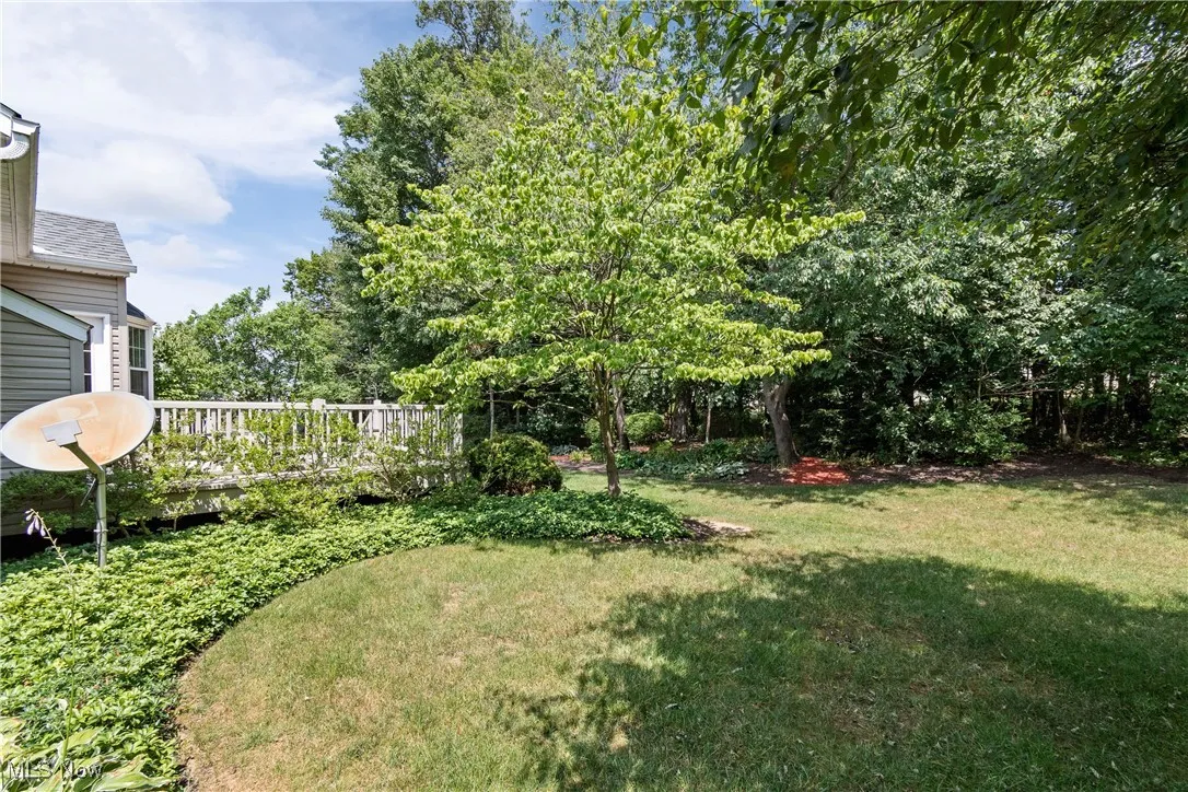 Rear yard with composite deck, landscaping