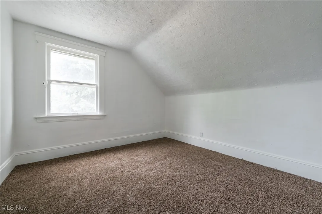 Additional living space with carpet flooring, a textured ceiling, and vaulted ceiling