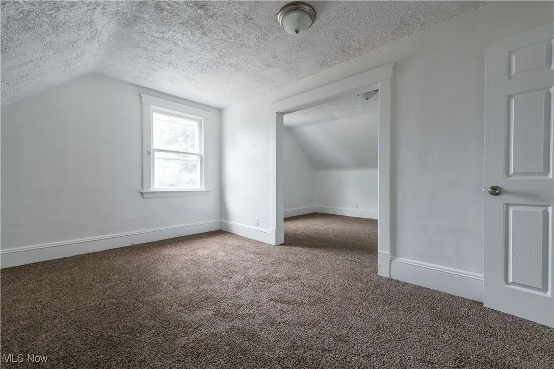Additional living space with carpet flooring, a textured ceiling, and lofted ceiling