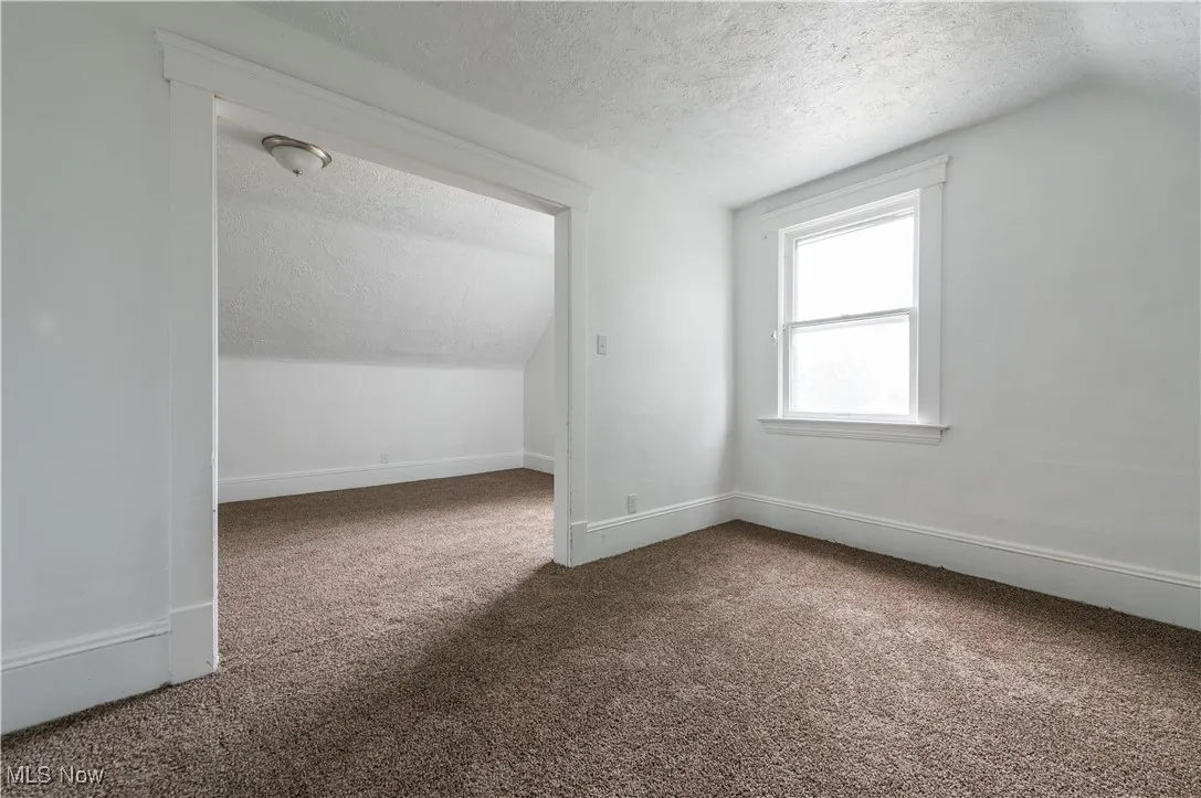 Bonus room featuring a textured ceiling, lofted ceiling, and carpet flooring