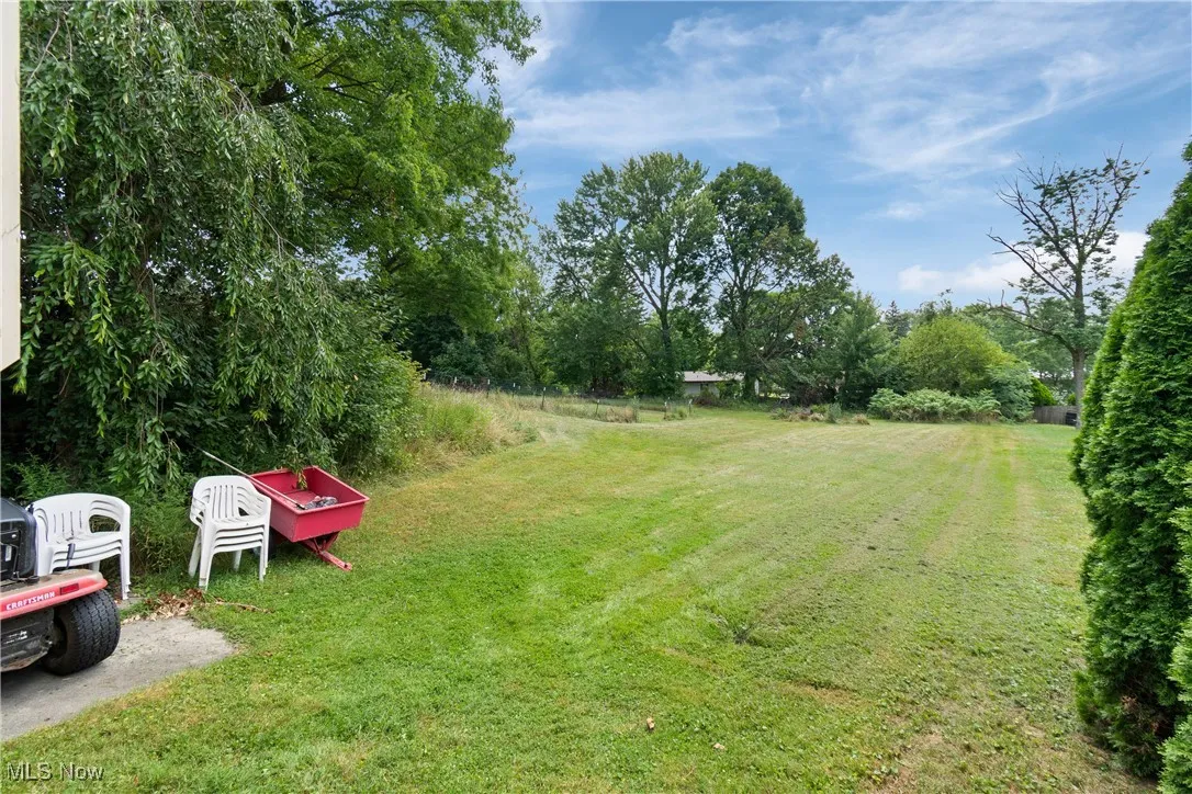 View of grassy yard