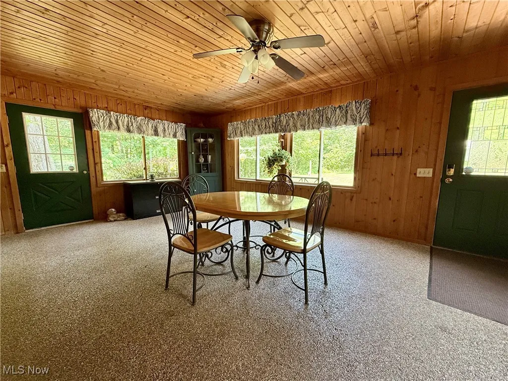 247 Donna Drive, North Benton, Ohio,MLS Now Listing ID