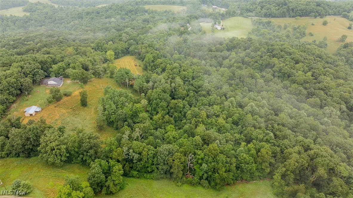 Bird's eye view of a heavily wooded area