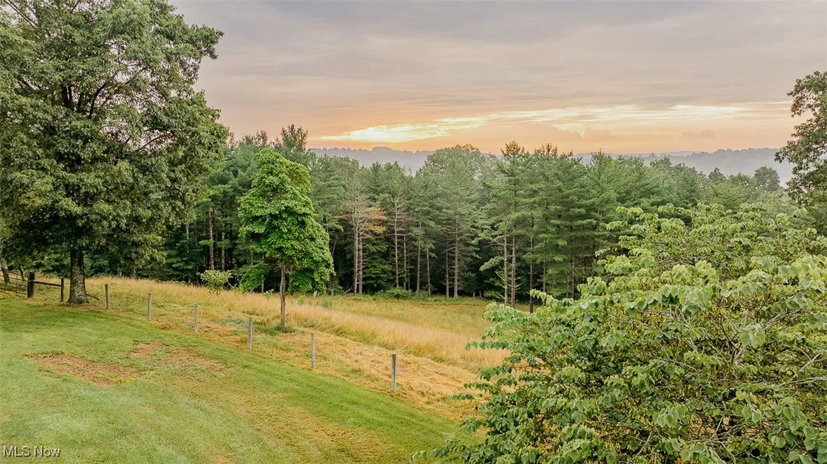 View of yard featuring a view of trees
