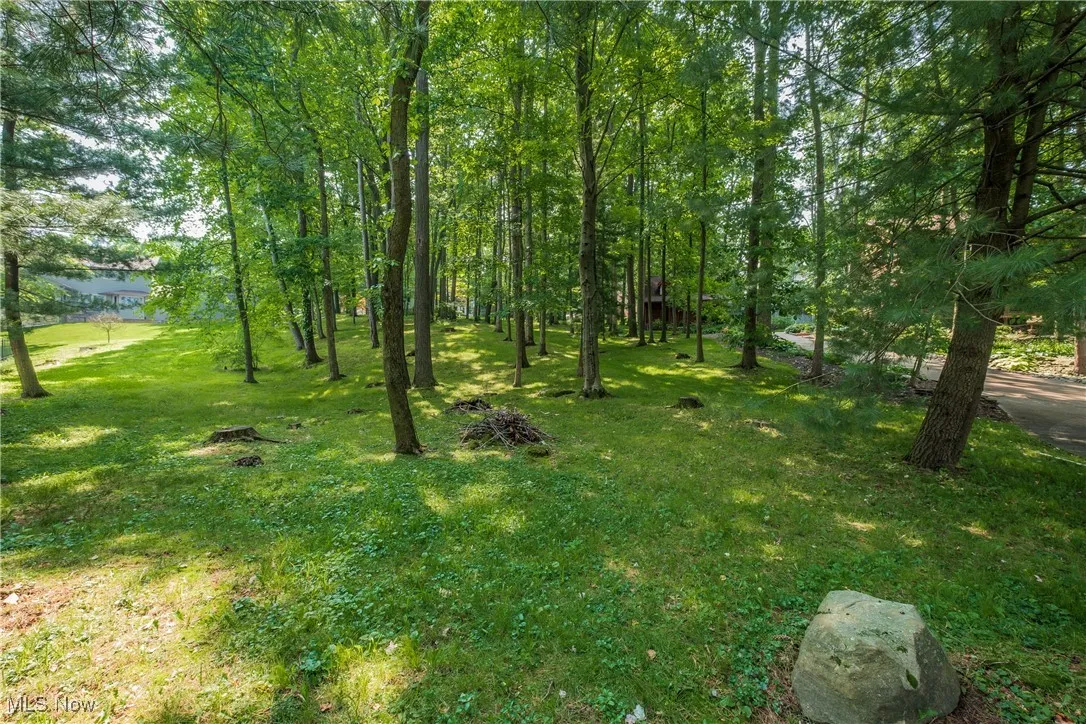 View of grassy yard