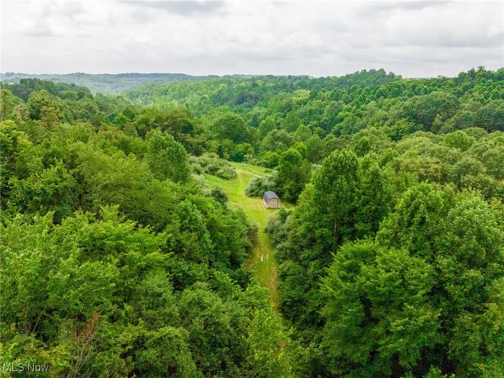 Bird's eye view of a heavily wooded area
