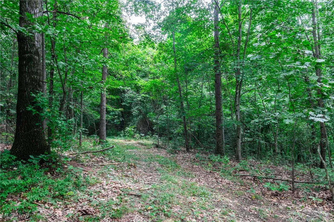View of wooded area