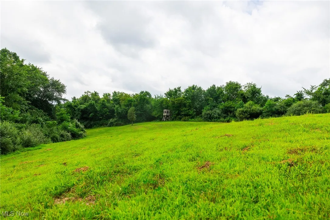 View of yard with a forest view