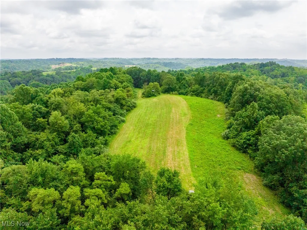 Bird's eye view of a heavily wooded area
