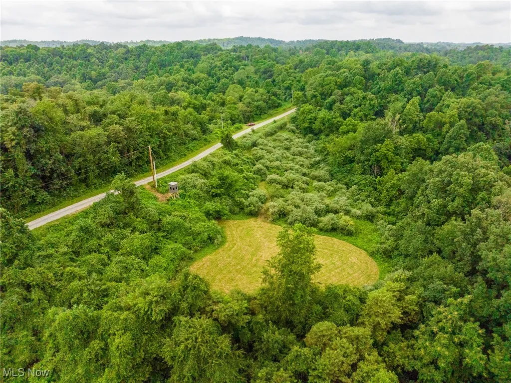 Bird's eye view of a heavily wooded area