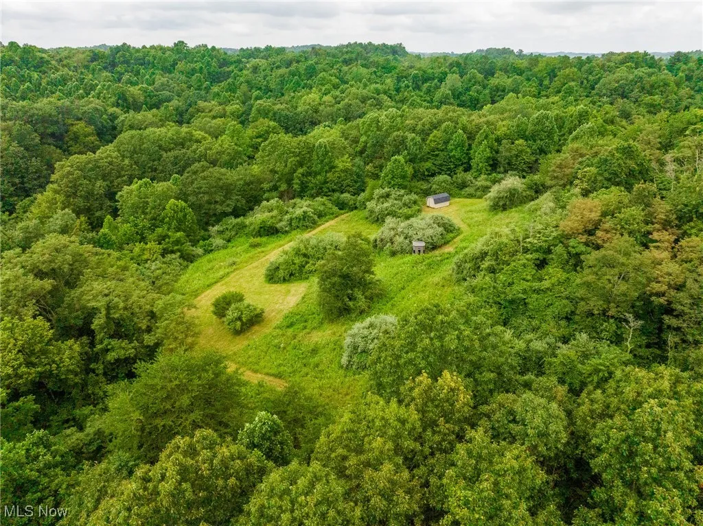 Drone / aerial view of a heavily wooded area